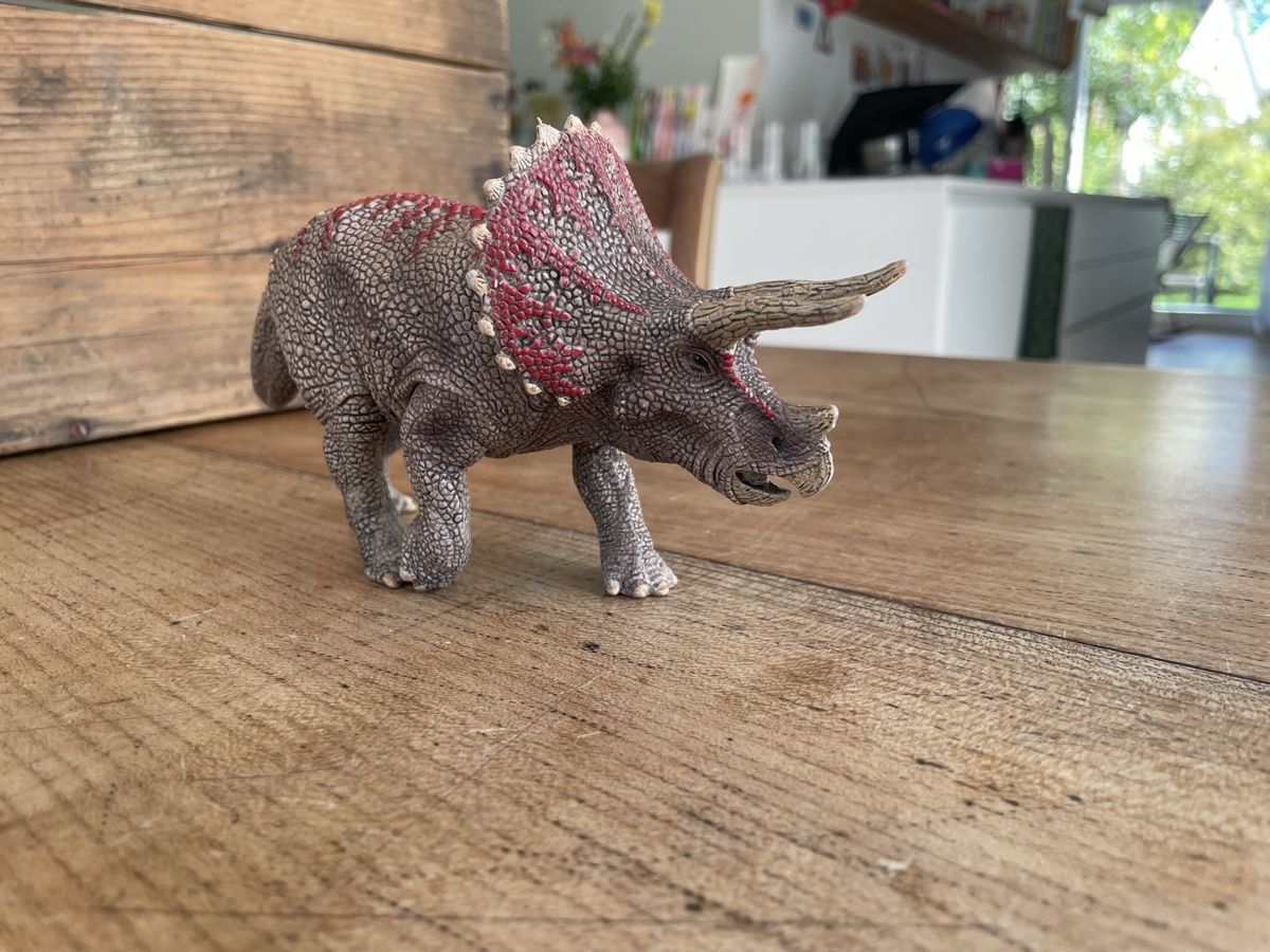 Schleich Giocattoli: Schleich Triceratops – Usato da Bonstetten venduto da soleillle 2