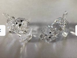 2 chiots Swarovski