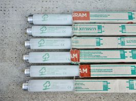 1 Neonröhre Leuchtstoffröhre OSRAM L 38W/21-840  COOL WHITE