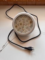 Lampe fürs Pflanzenwachstum
