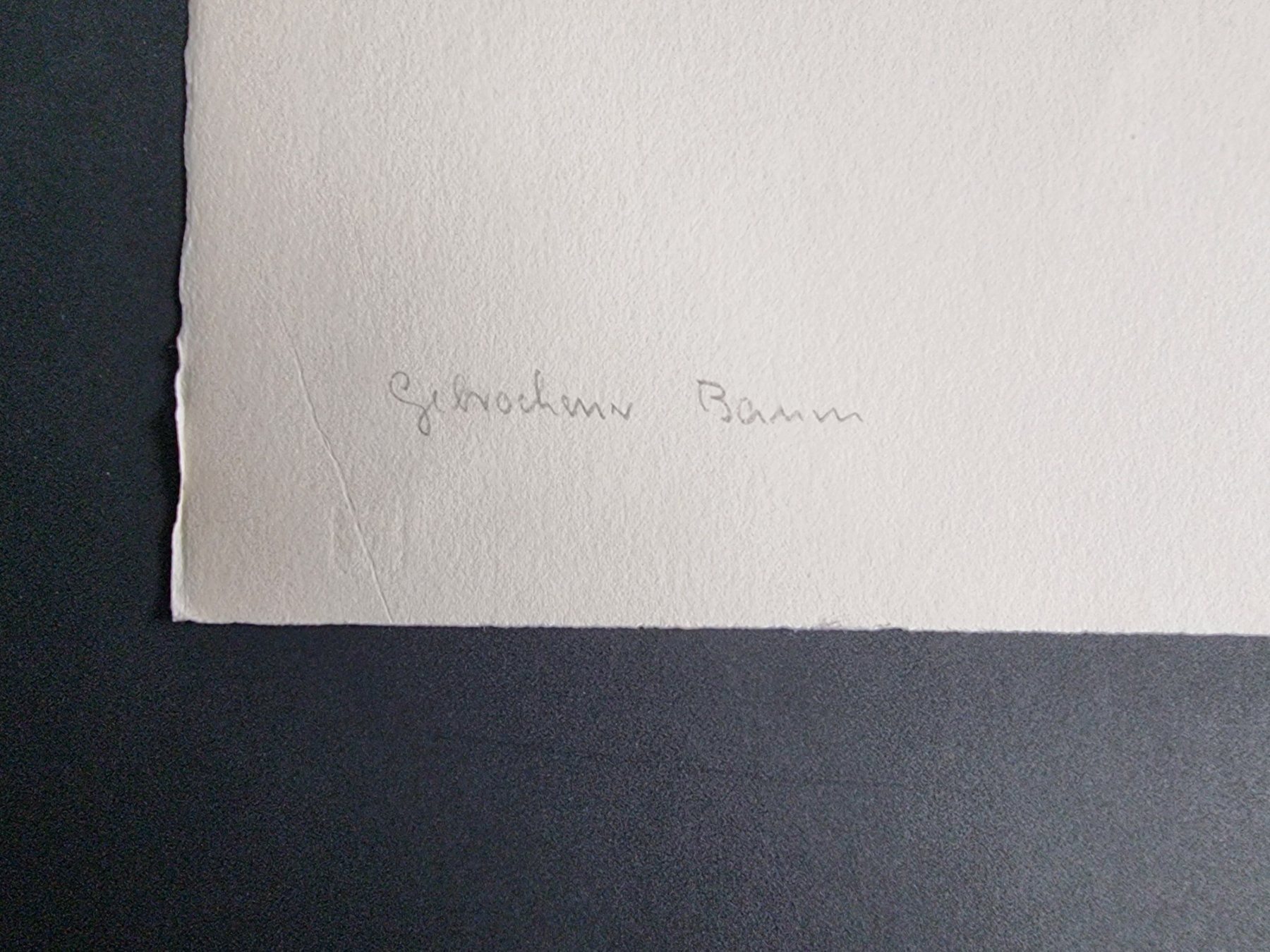 Grafiken & Lithographien: BODMER PAUL LITHOGRAPHIE SIGNIERT – Gebraucht aus Gersau von kunst-online 2