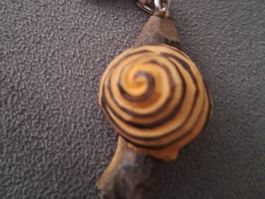 Schlüsselanhänger Schnecke Holz handgemacht neu