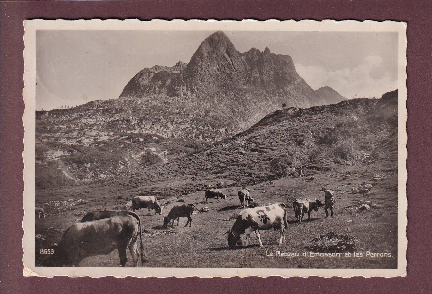 Ansichtskarten: Plateau d'EMOSSON - Vaches - Les Perrons - 1935 – Gebraucht aus Pully von nicecards