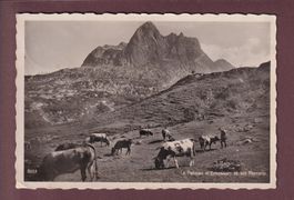 Plateau d'EMOSSON - Vaches - Les Perrons - 1935