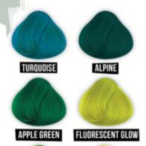 Färbemittel: Directions Apple Green, Alpine Green & Pinsel – Gebraucht aus Zürich von Swiss_Rhapsody 2