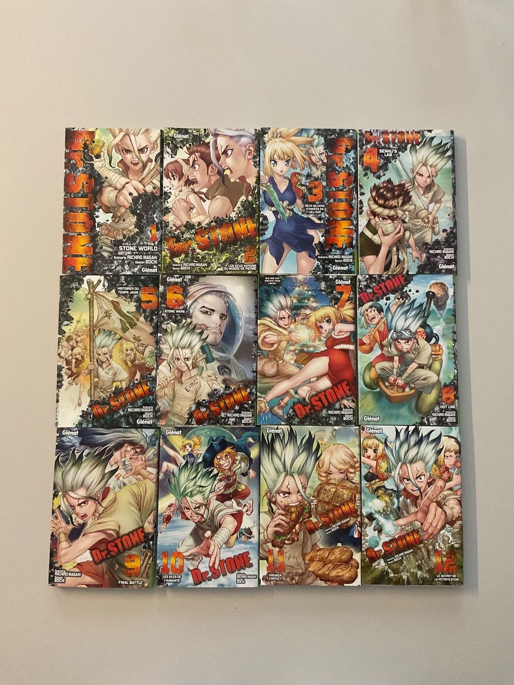 Fumetti: Dr Stone 5 à 12 en français – Usato da Monthey venduto da Catherine74
