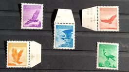 F9 - F13 ** / * glattes Papier
