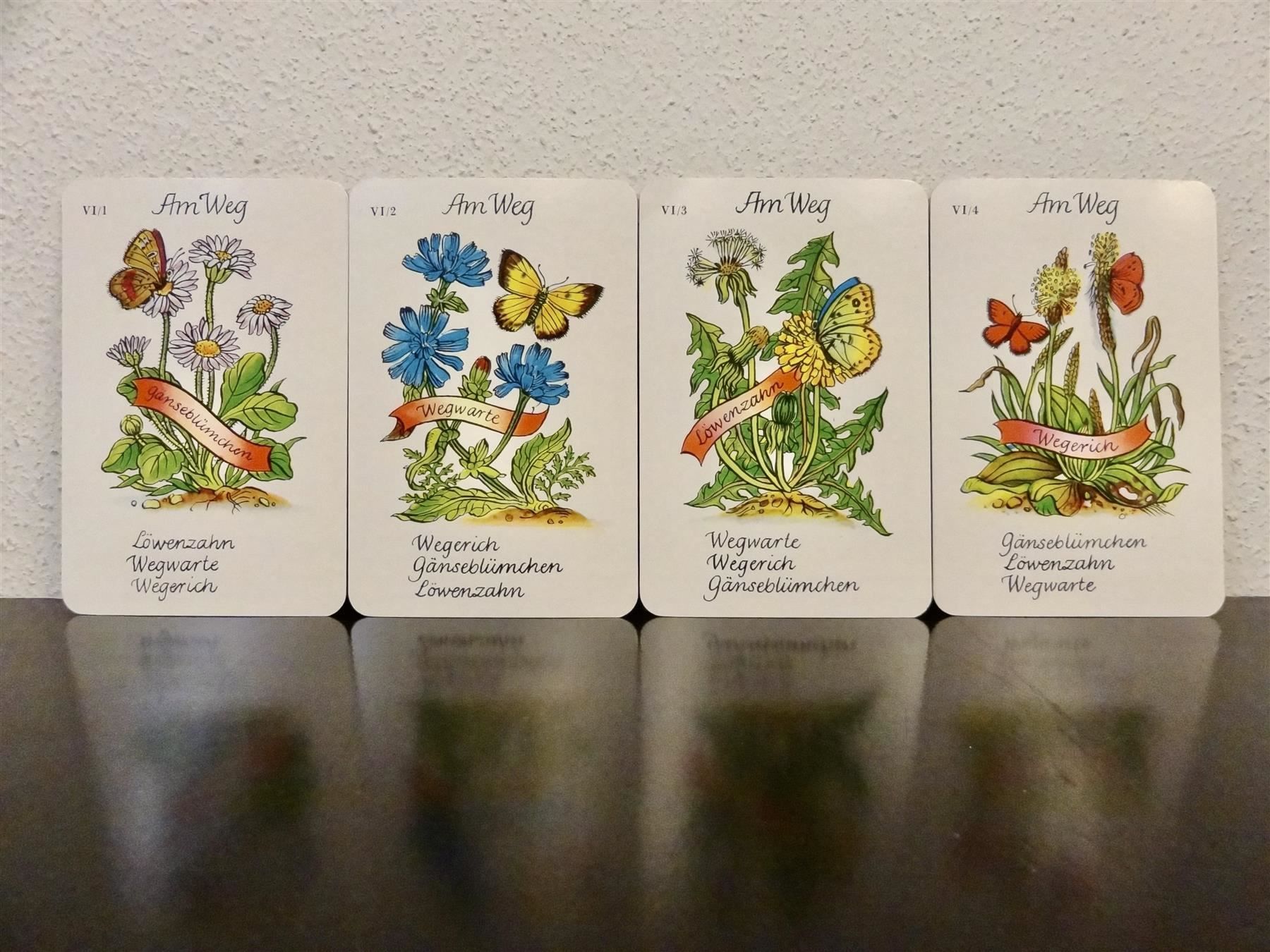 Giochi: altes Quartett BLUMEN-QUARTETT BLUMEN – Usato da Kerzers venduto da wisaundso 8