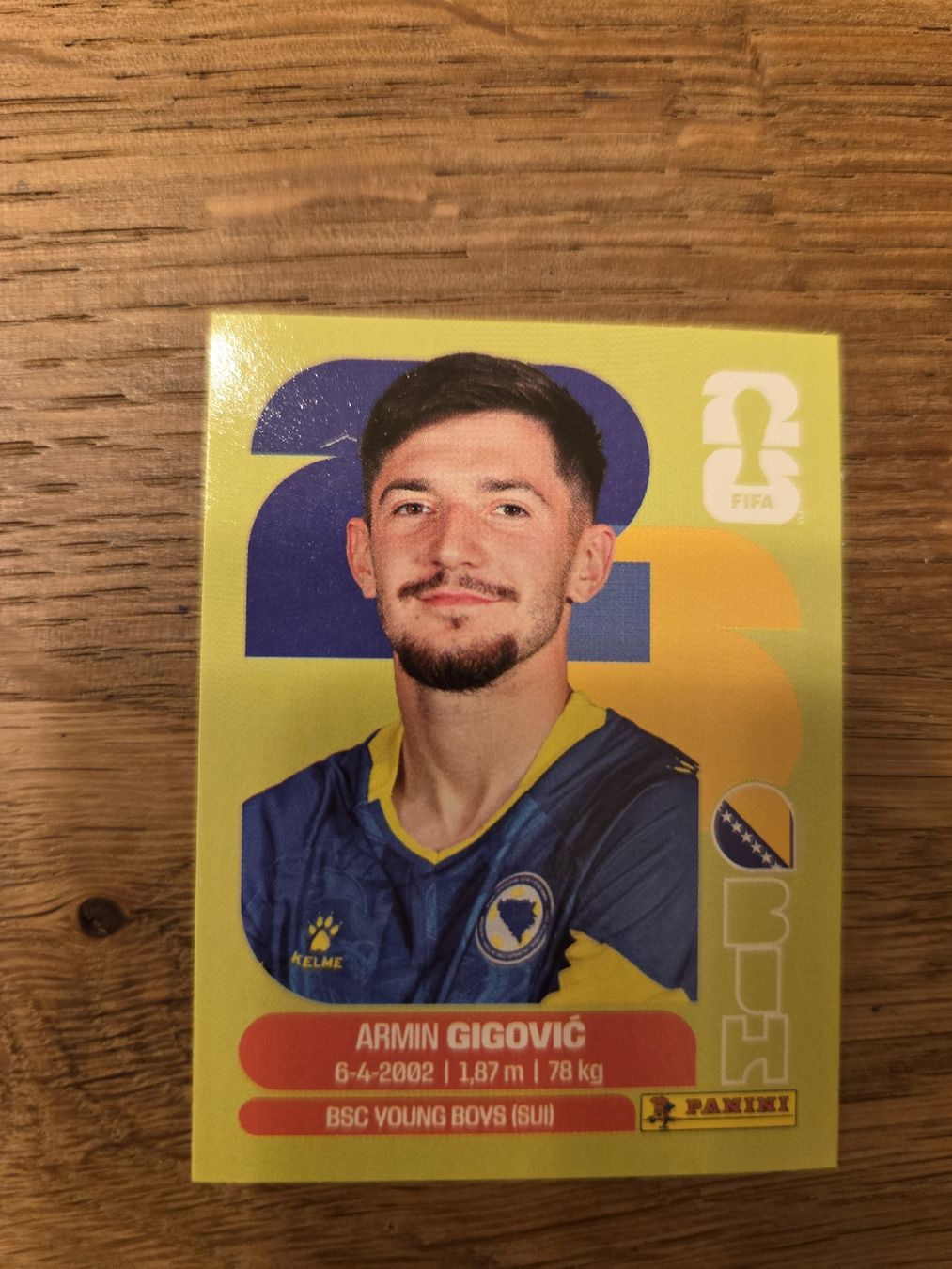 Panini Carte collezionabili: Panini Sticker 2026 BIH 10 – Nuovo (secondo la descrizione) da Luzern venduto da .Skylake.