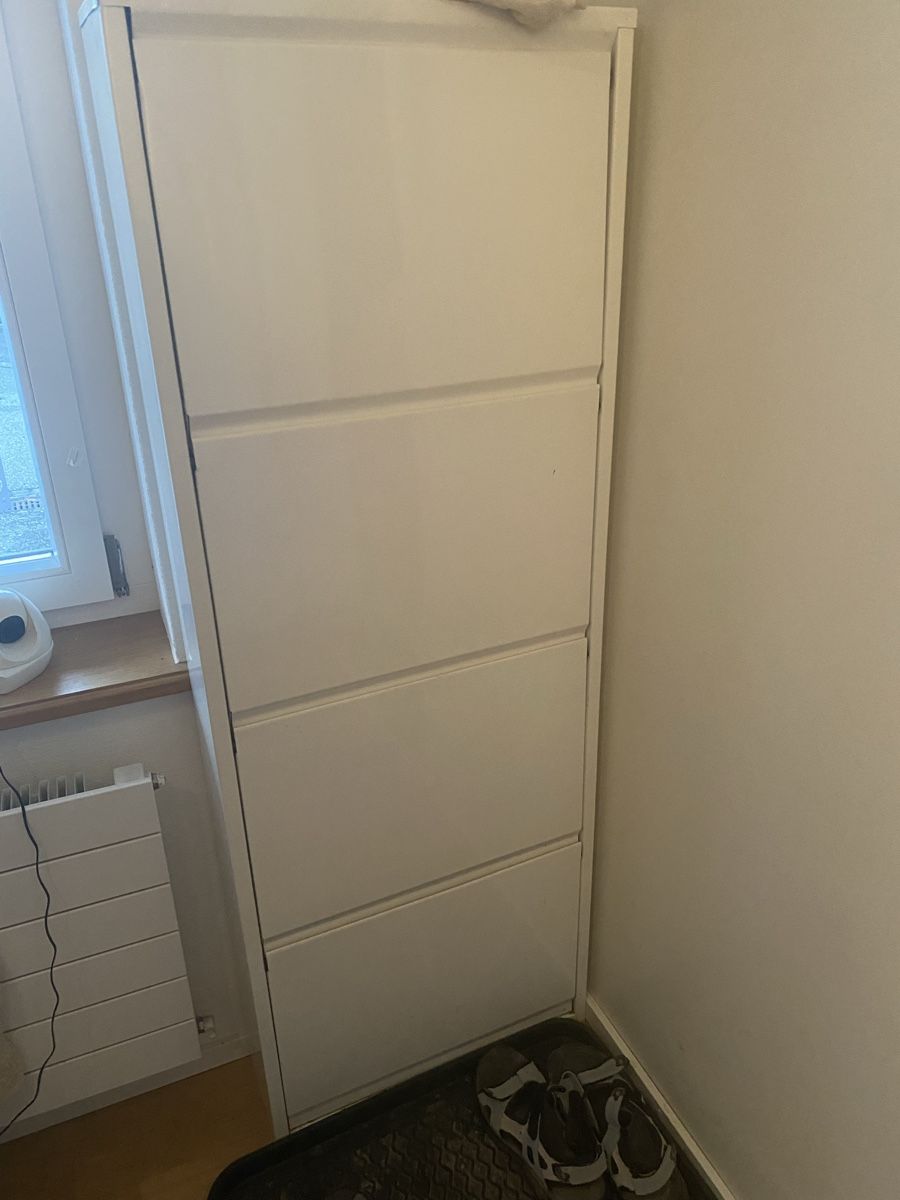 Autoribaltabili: Schuhschrank Metall – Usato da Madiswil venduto da Blumen3