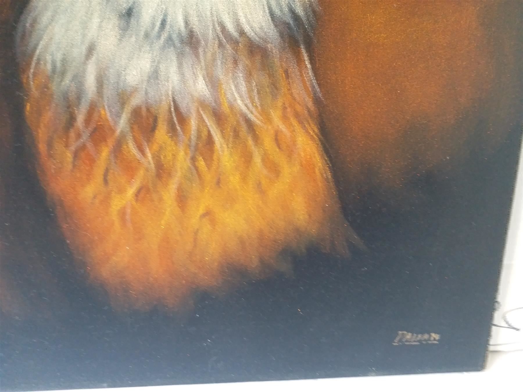 Posters & Illustrations: Paisan "Adler" Samt Bild – D'occasion à Zürich par Galerie-Kunst 1