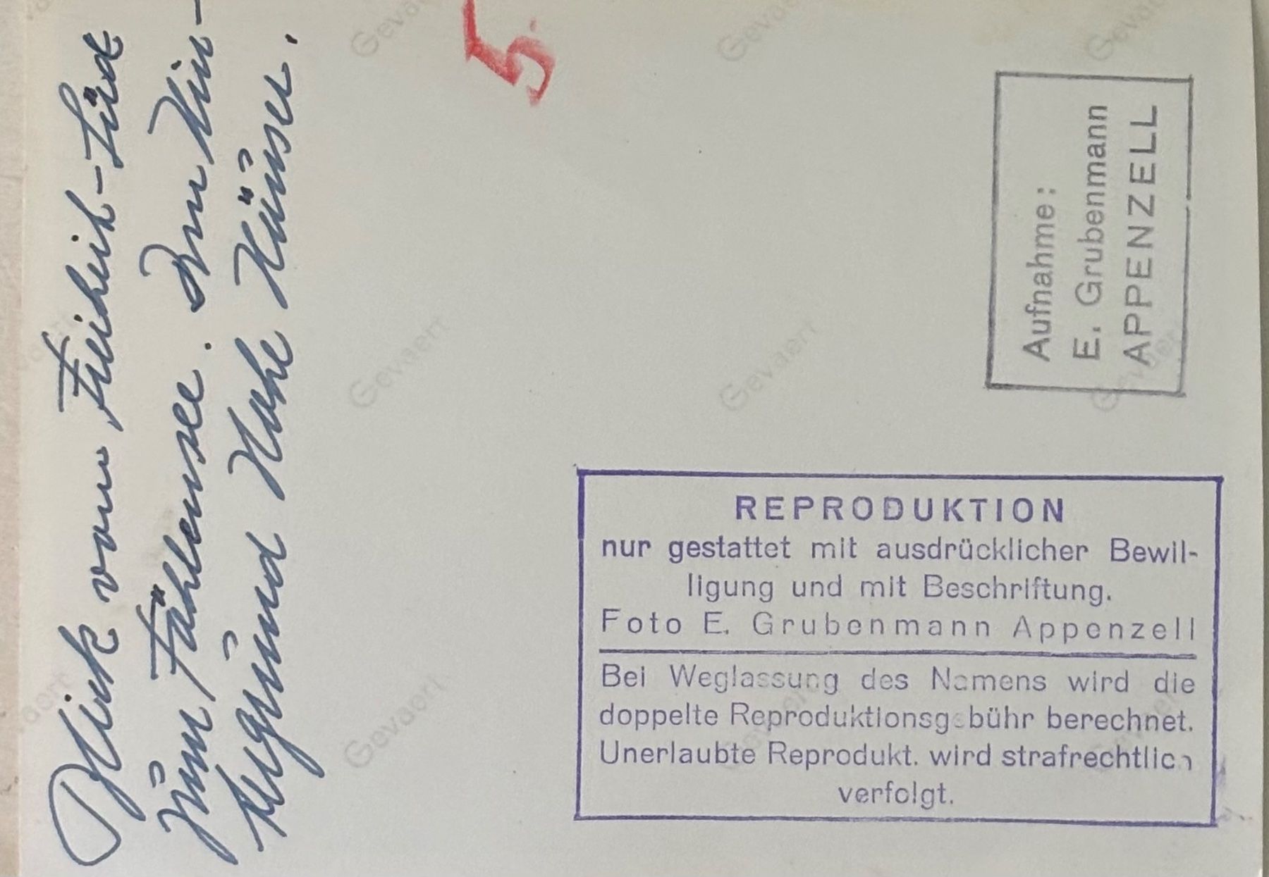 Cartoline postali: Foto E. Grubenmann, Appenzell, Fählensee, 12 x 9 cm – Usato da Frauenfeld venduto da Merk52 1