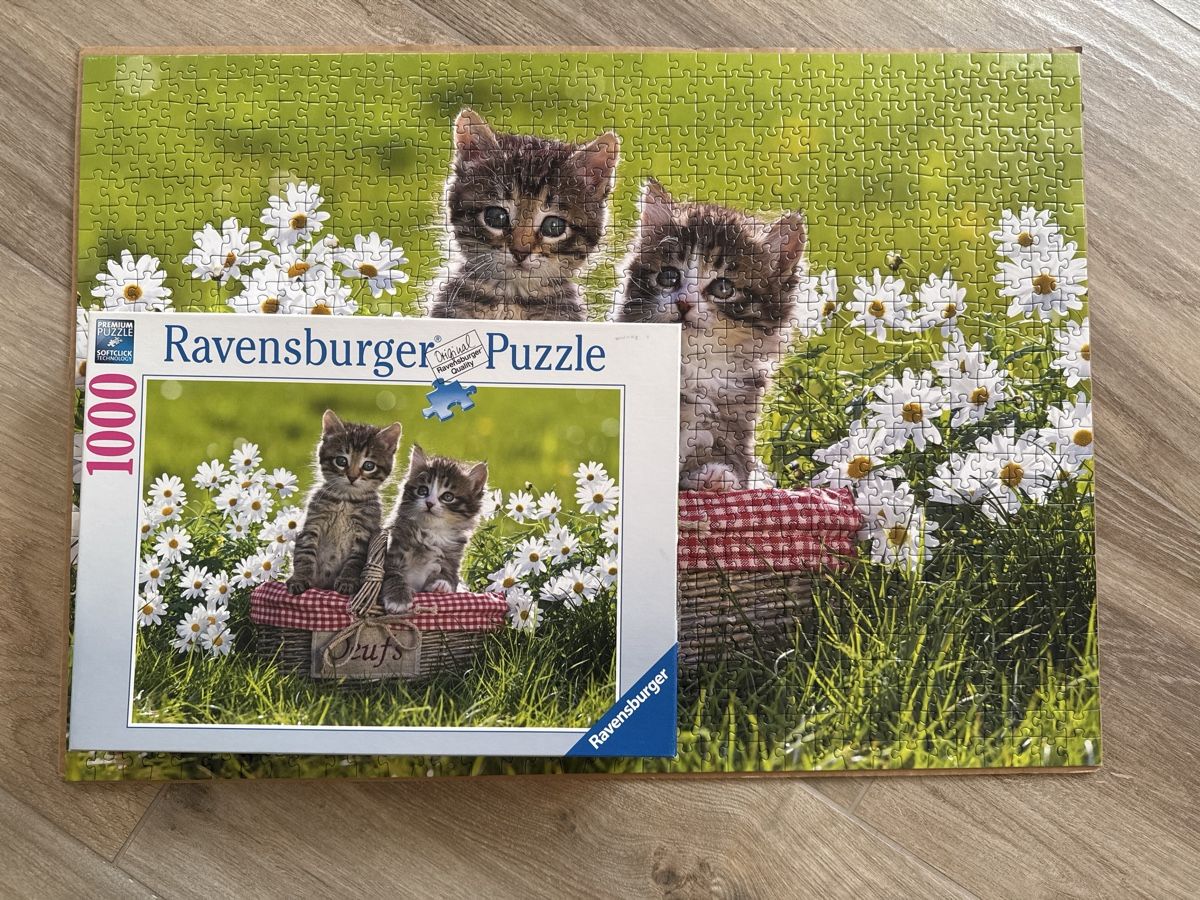 Ravensburger Puzzle: Ravensburger Puzzle 1000 Teile – Nuovo (secondo la descrizione) da Stadel venduto da nicibaer08 1