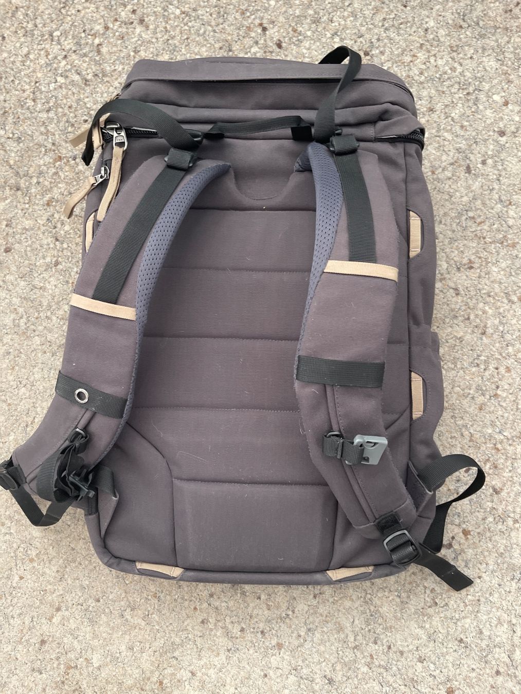 Jack Wolfskin Zaini: Jack Wolfskin Rucksack, geräumig & praktisch – Usato da Thun venduto da BanjoDan 2