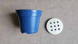 Small blue pot & water stopper for seedlings and houseplants