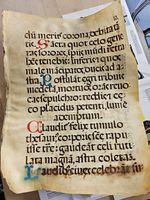 Grosses Pergamentblatt Choralbuch / Antiphonar 50 x 38.5 cm
