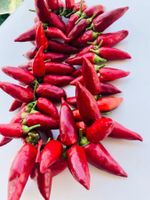 Chili GIRLANDE aus Sizilien Gewurze