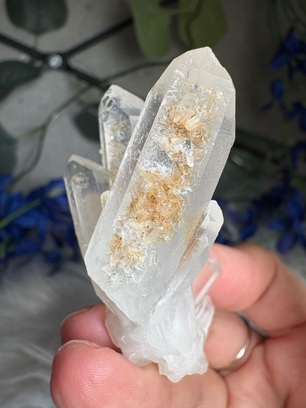 Minerali & Pietre curative: Kolumbianischer Lemurian-Quarz-Cluster – Nuovo (secondo la descrizione) da Neuheim venduto da m.hald 5