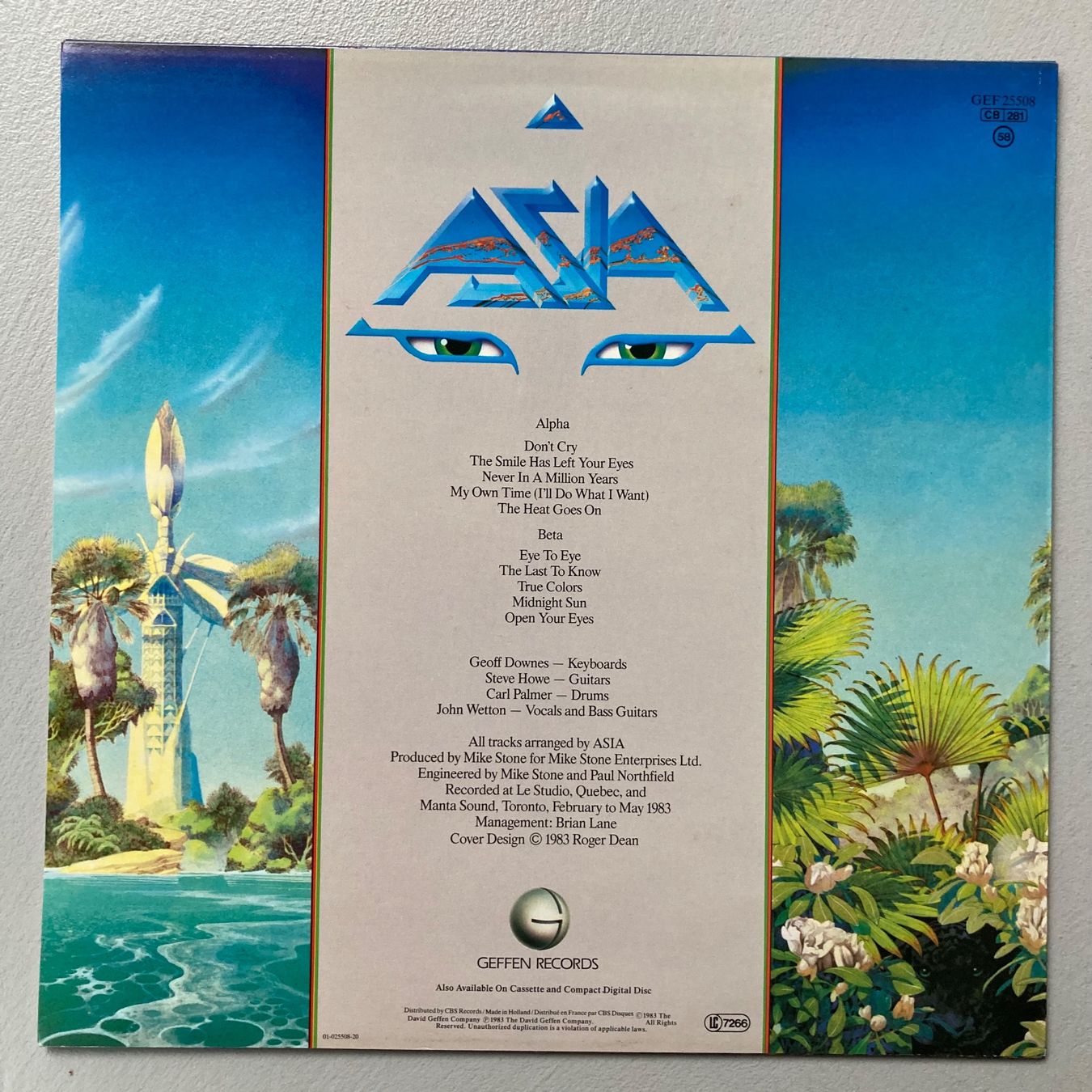 Dischi in vinile: ASIA - alpha - LP – Usato da dachsen venduto da oheio 1