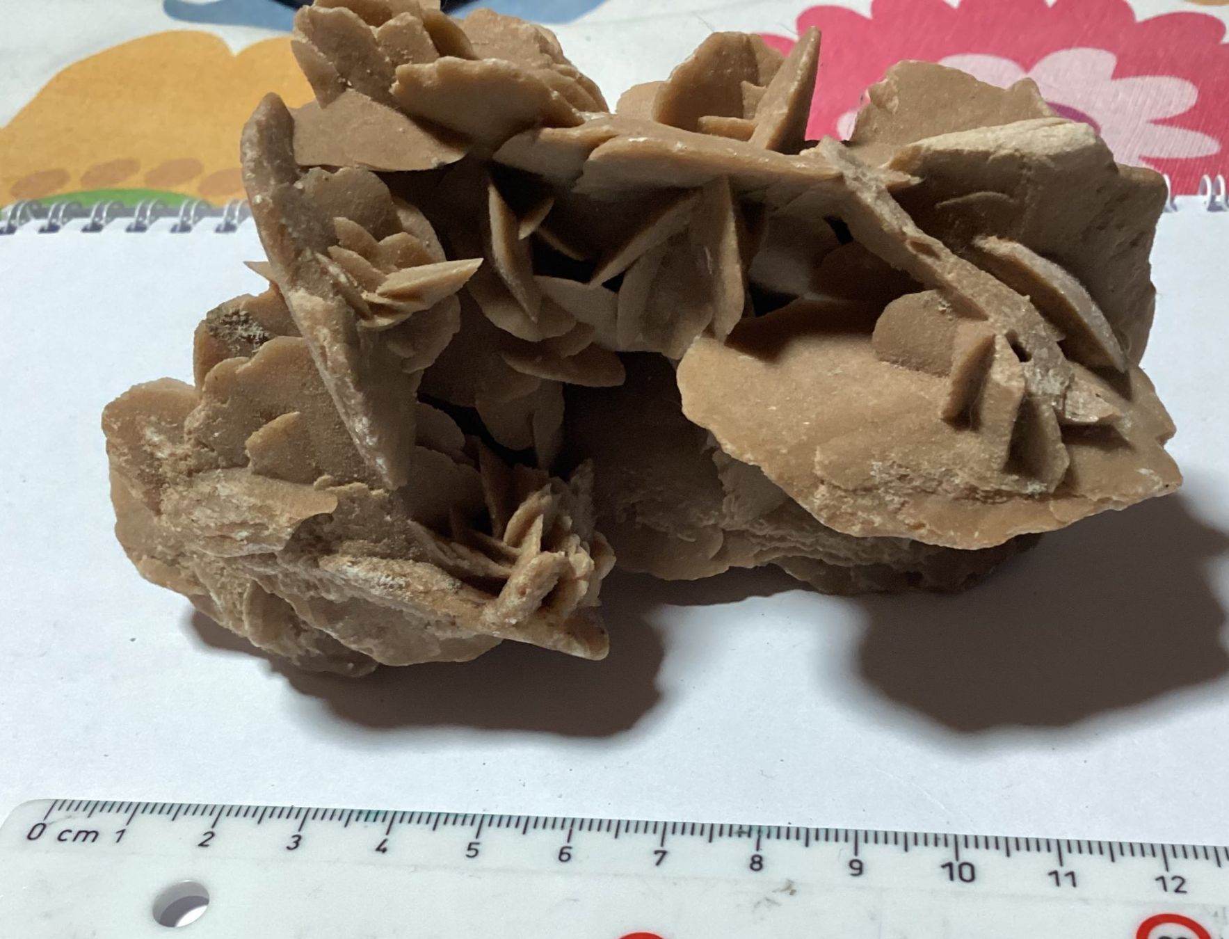Mineralien & Heilsteine: Rosa del deserto – Gebraucht aus Arogno von alan_service 1