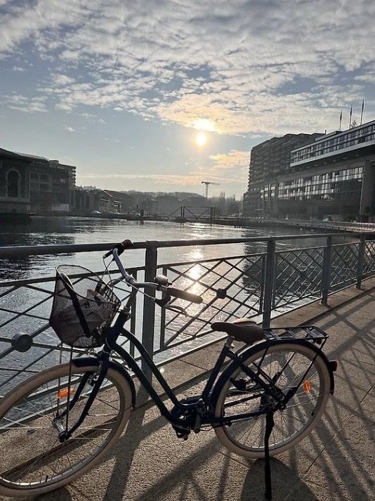 Vélos: Velo  – Neuf (Voir description) à Genève par ell_bjc9
