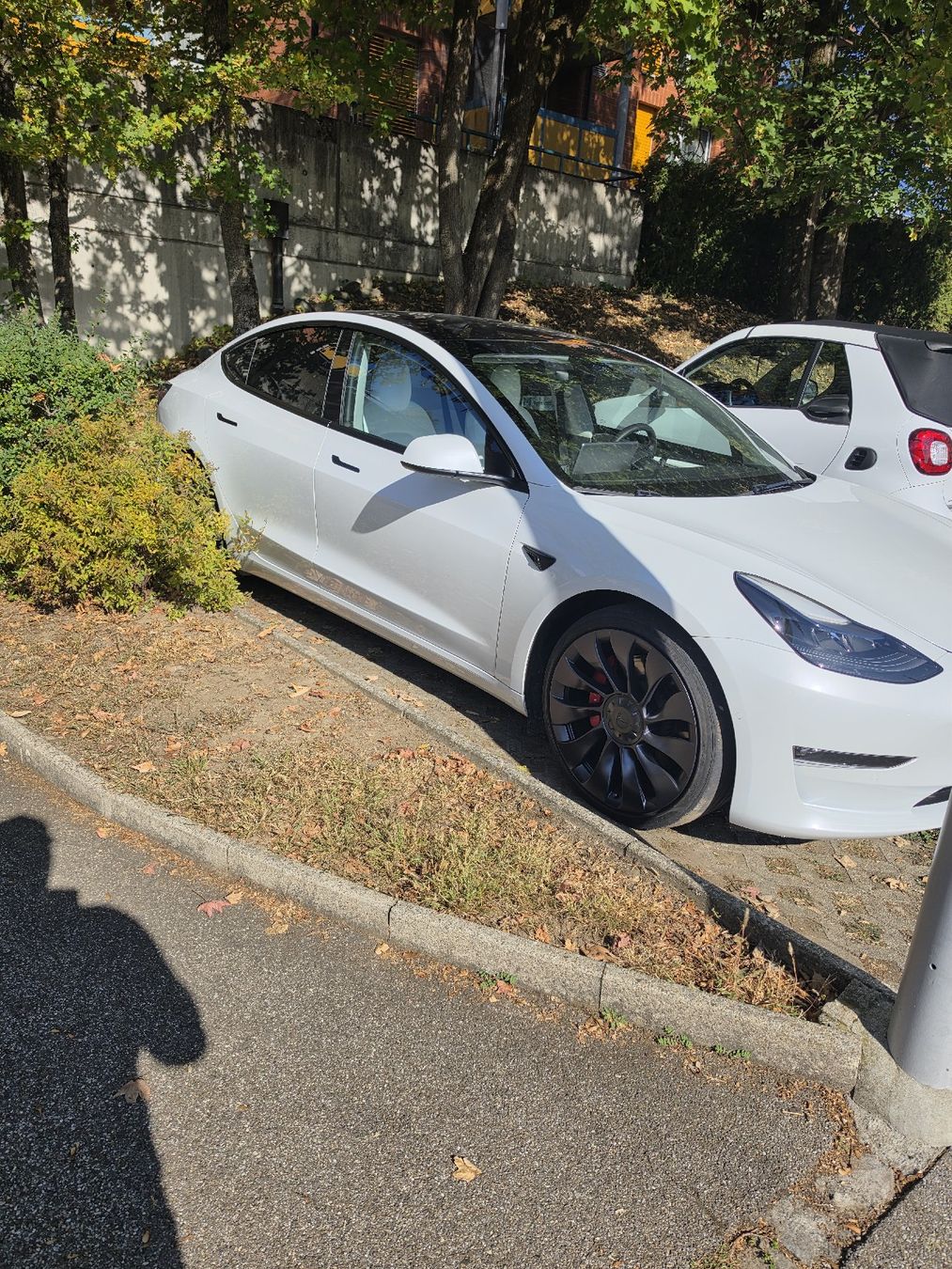 Tesla Autos: Tesla model 3 Perfomance – Gebraucht aus Niederhasli von Zekibenz 1