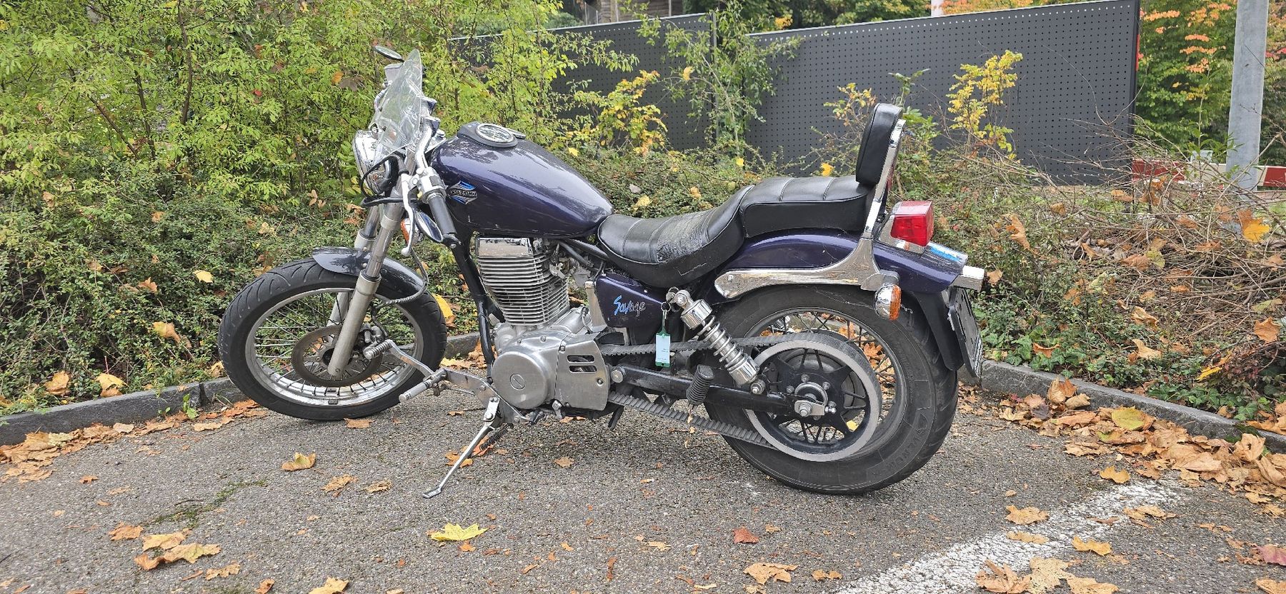 Suzuki Chopper: Suzuki LS650 Savage – Defekt aus Dachsen von Caddy94 1