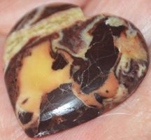 Cabochon L-1163 – Kokosnuss Jaspis Herz – 30x30mm
