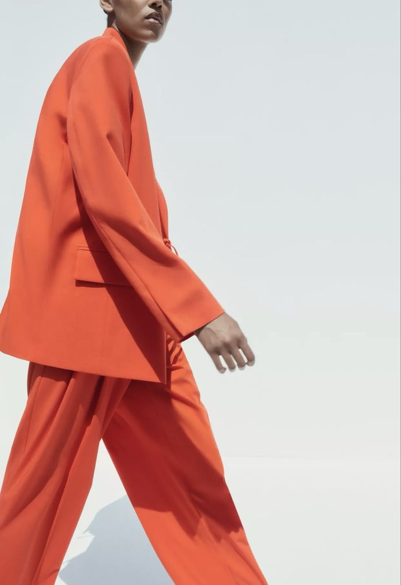 Zara Giacche: Zara blazer – Nuovo e nell'imballaggio originale da Opfikon venduto da ari_7yn2 8