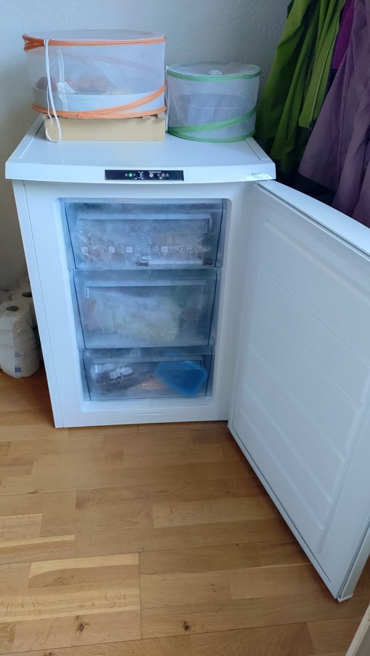 Congelatori: Gefrierschrank Electrolux EUT6256 – Usato da Ostermundigen venduto da ste-70 1