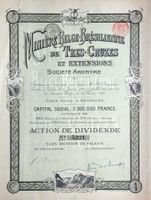 Minière de Belge-Brésilienne de Tres-Cruzes et Ext. - 1901