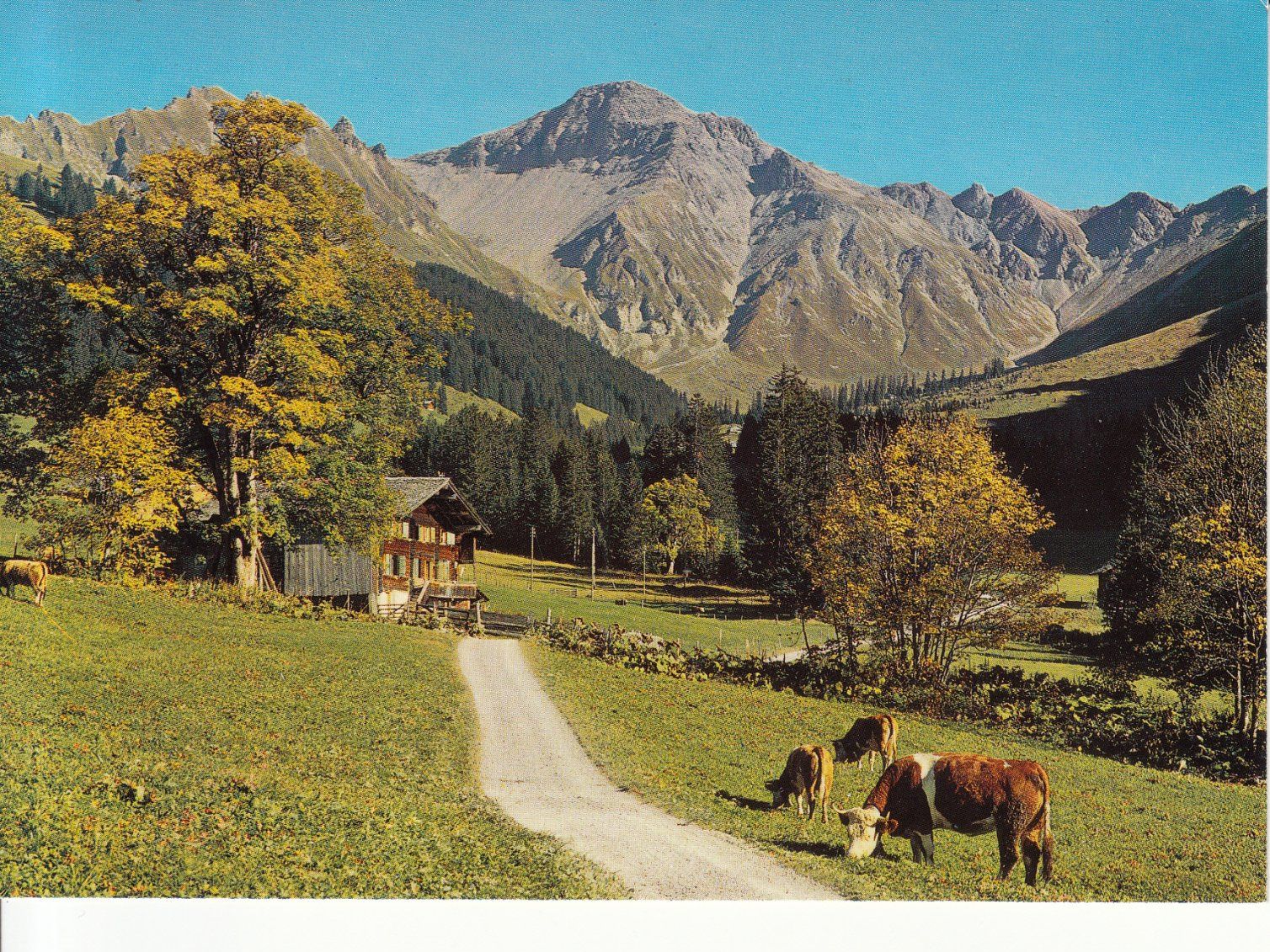 Cartoline postali: Fermeltal 1986 – Usato da Bürglen TG venduto da StampGraf