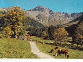 Fermeltal 1986