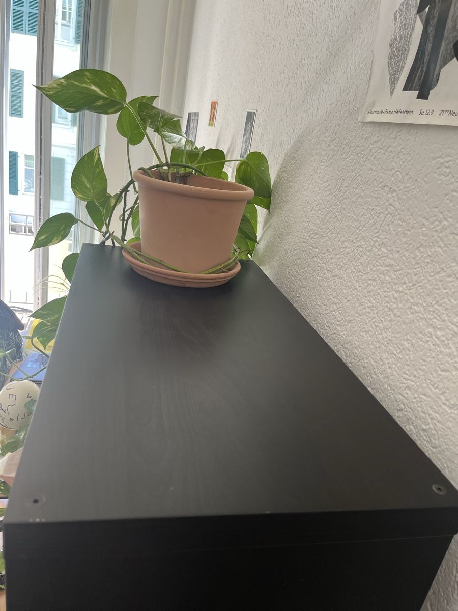 Regale: Kallax schwarz – Neu (gemäss Beschreibung) aus Bern von Nena4 2