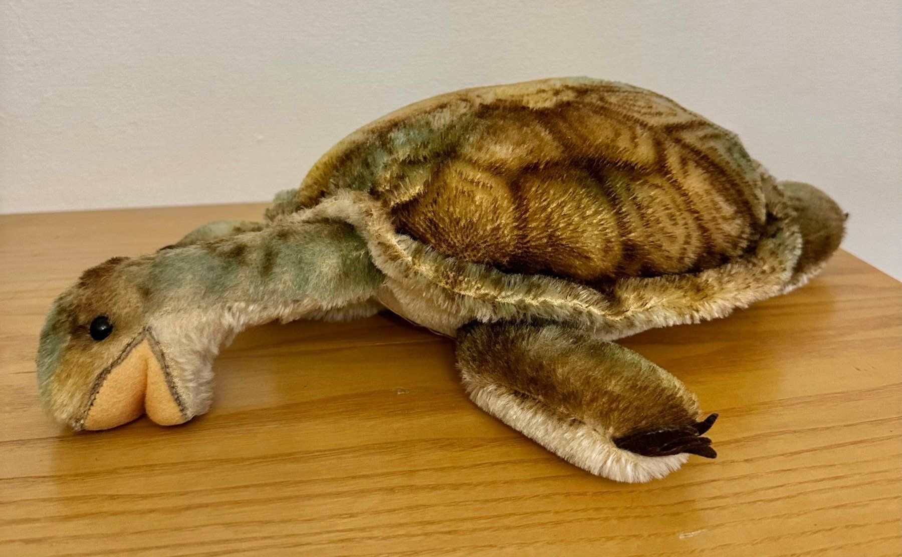 Steiff Giocattoli: Steiff Schildkröte 60er Jahre – Usato da Binz venduto da banbolea