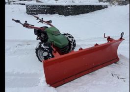 Rapid Euro mit Schneepflug