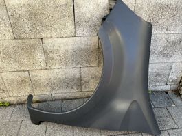 Kotflügel für Renault Modus !