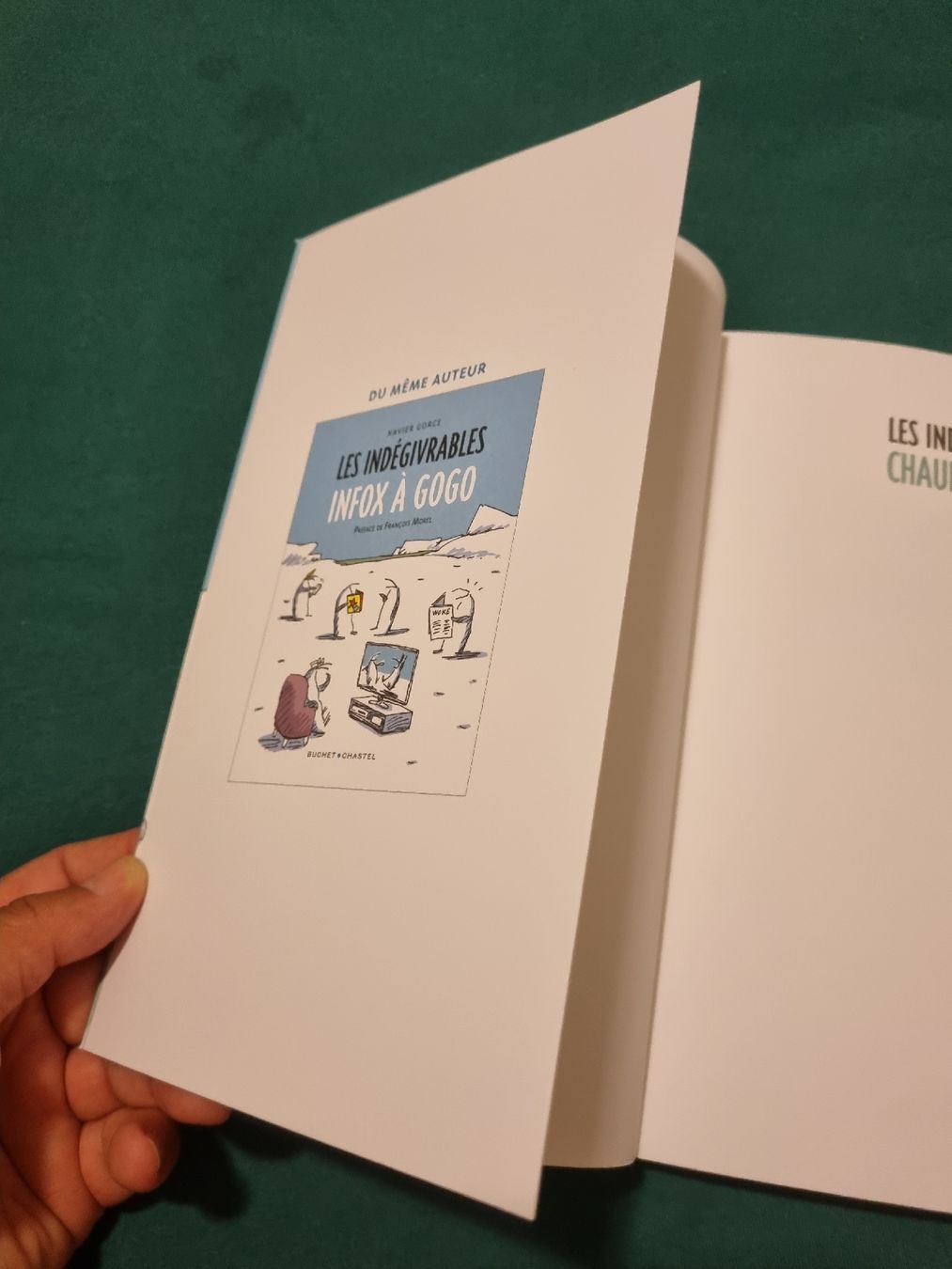 Comics: Les Indégivrables Chaud Devant! Xavier Gorce, BD – Gebraucht aus Fribourg von sal_5ln6 4