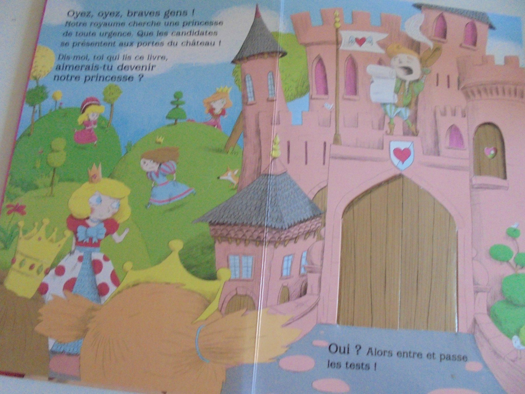 Bücher: " Recherche super princesse " Livre Pop-up – Gebraucht aus Eclépens von Consuelo 2
