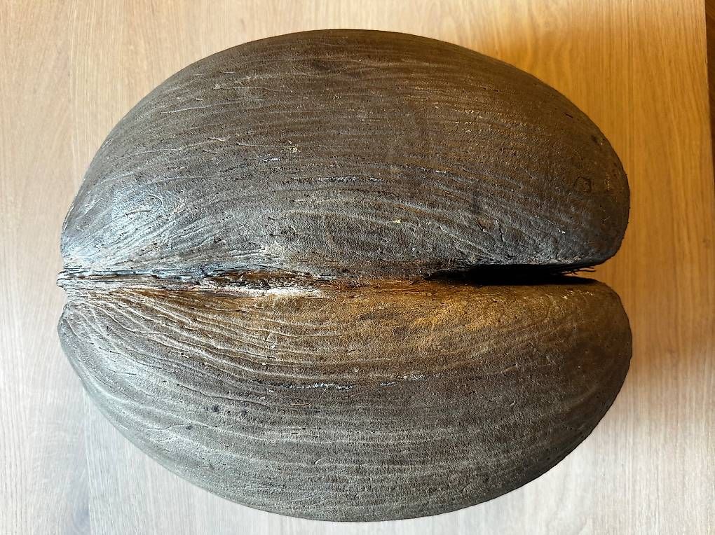 Alle Dekorationen: COCO DE MER – Gebraucht aus Aathal-Seegräben von rom_cg7q 1