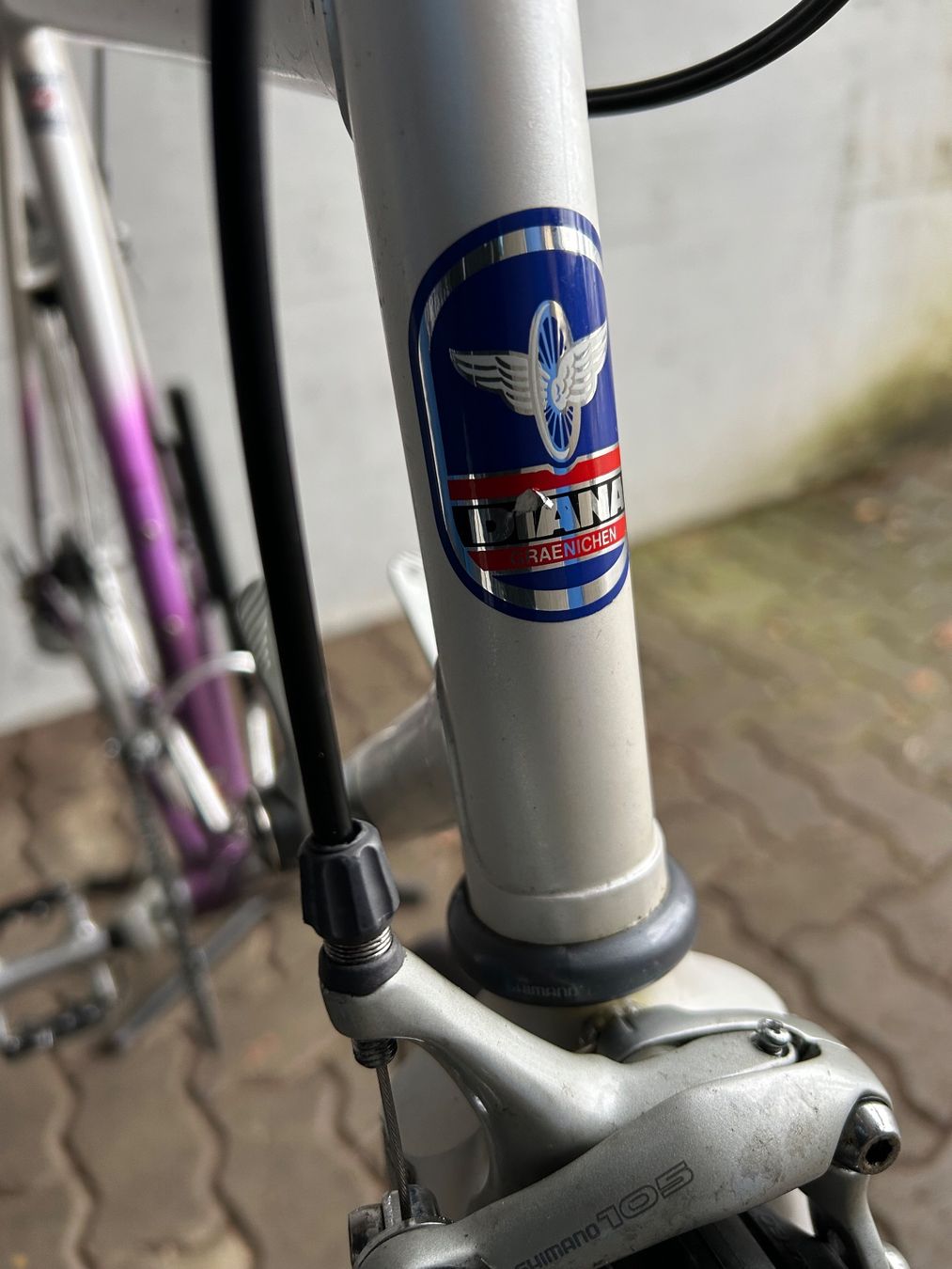 Biciclette: Diana Rennvelo – Usato da Adlikon b.Regensdf venduto da usado 3