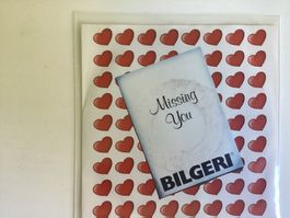 Bilgeri Single - Missing You
