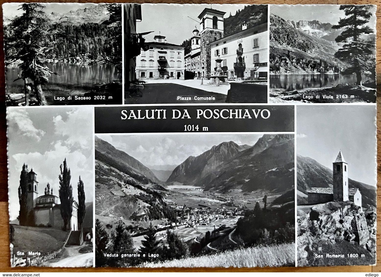 Cartoline postali: AK: POSCHIAVO - SALUTI DA POSCHIAVO – Usato da Lutry venduto da Ediego