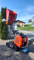 Dumper, Raupendumper. "Inkl. zwei Jahres Garantie"