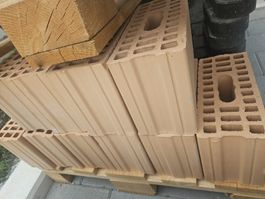 Ziegelsteine Bausteine neu 10 Stück