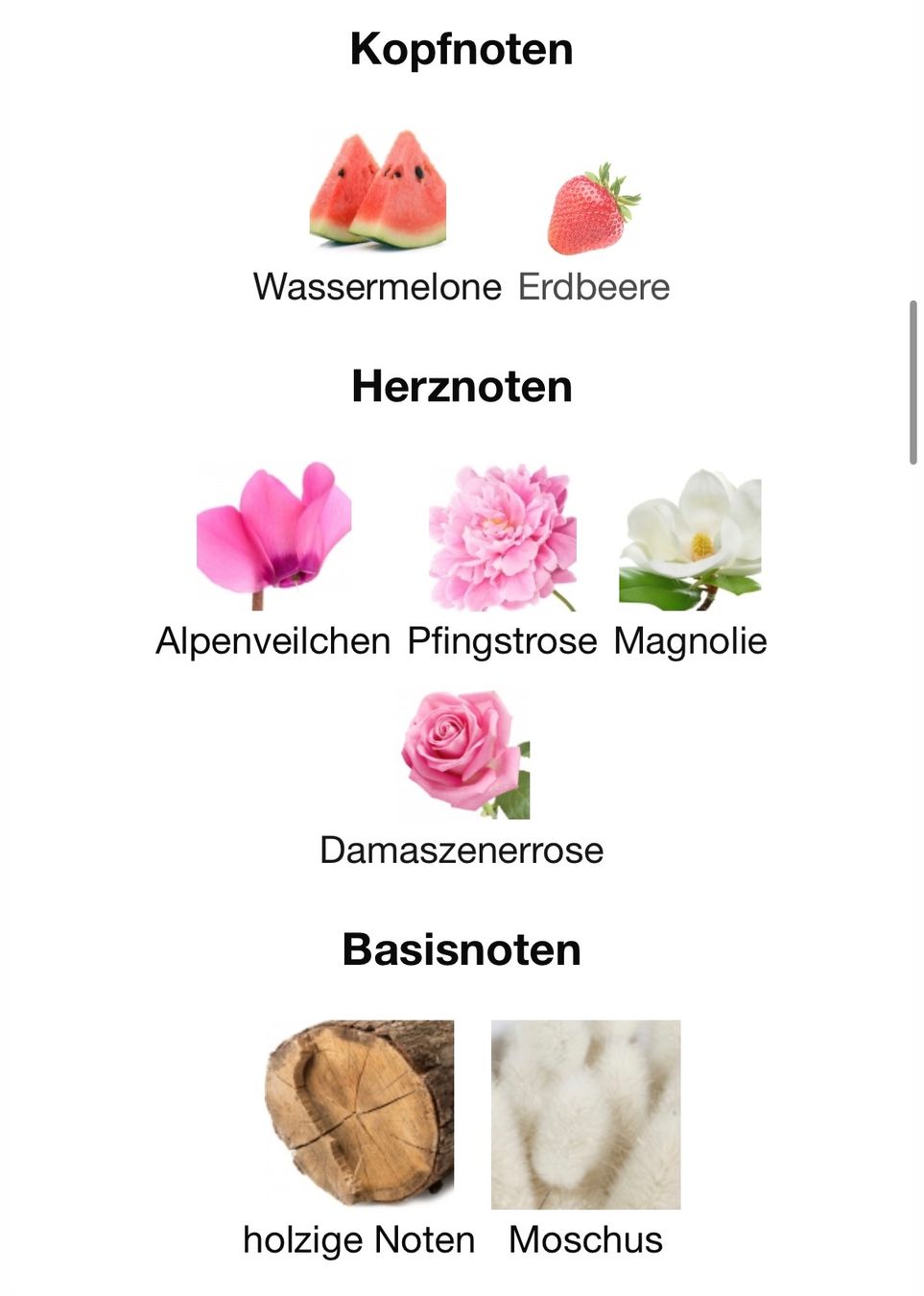 Lattafa Parfum & Eau de Toilette: Lattafa Muna EDP 5ml. ABFÜLLUNG – Gebraucht aus Zürich von deruja 3