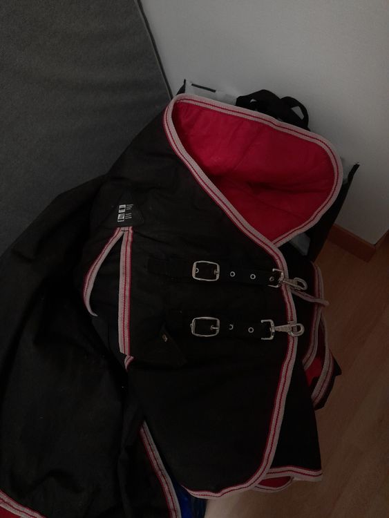 Ersatz Beingurt Für Pferdedecke - Verstellbar 65-130cm Mit Doppelhaken Für Reitsport