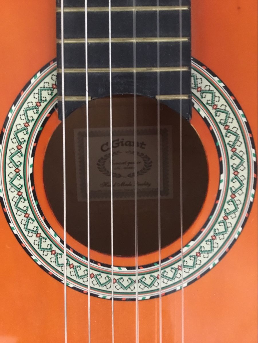 C.Giant Strumenti musicali: Gitarre – Usato da Schlieren venduto da Jeajet 8