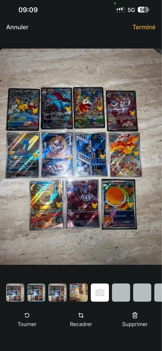 Pokémon Carte collezionabili: Lot Pokémon 30 ans – Nuovo (secondo la descrizione) da Vers-chez-Perrin venduto da MarchandTCG 1