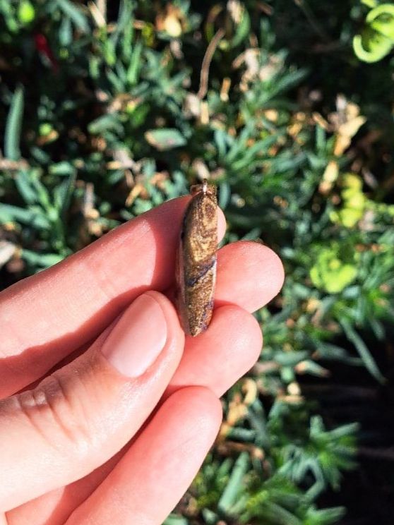 Pietre preziose: Boulder Opal aus Australien Anhänger – Nuovo e nell'imballaggio originale da Richterswil venduto da Viorella 5